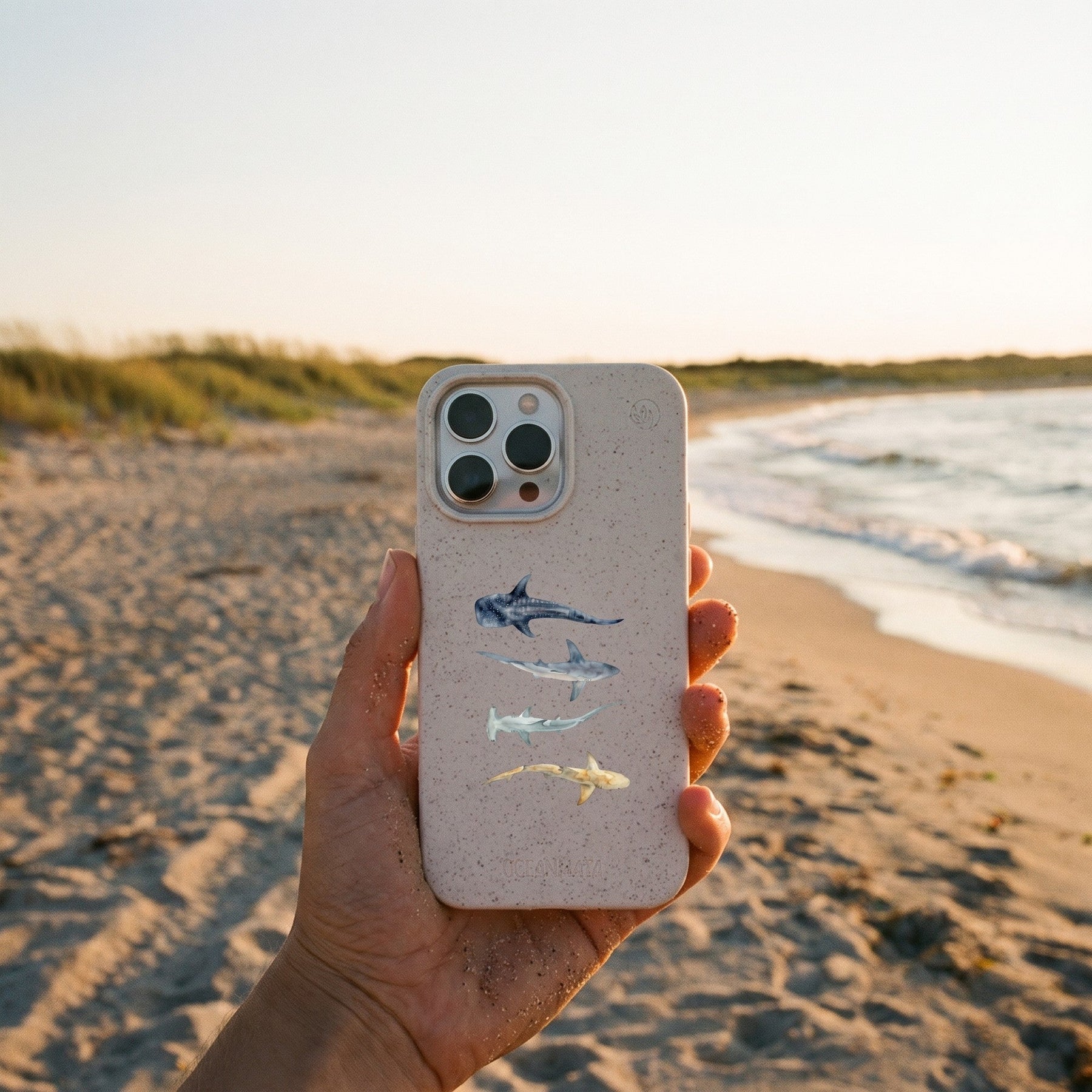 Biologisch abbaubare Handyhülle iPhone 11 Sharkproject — kompostierbar — in der Hand