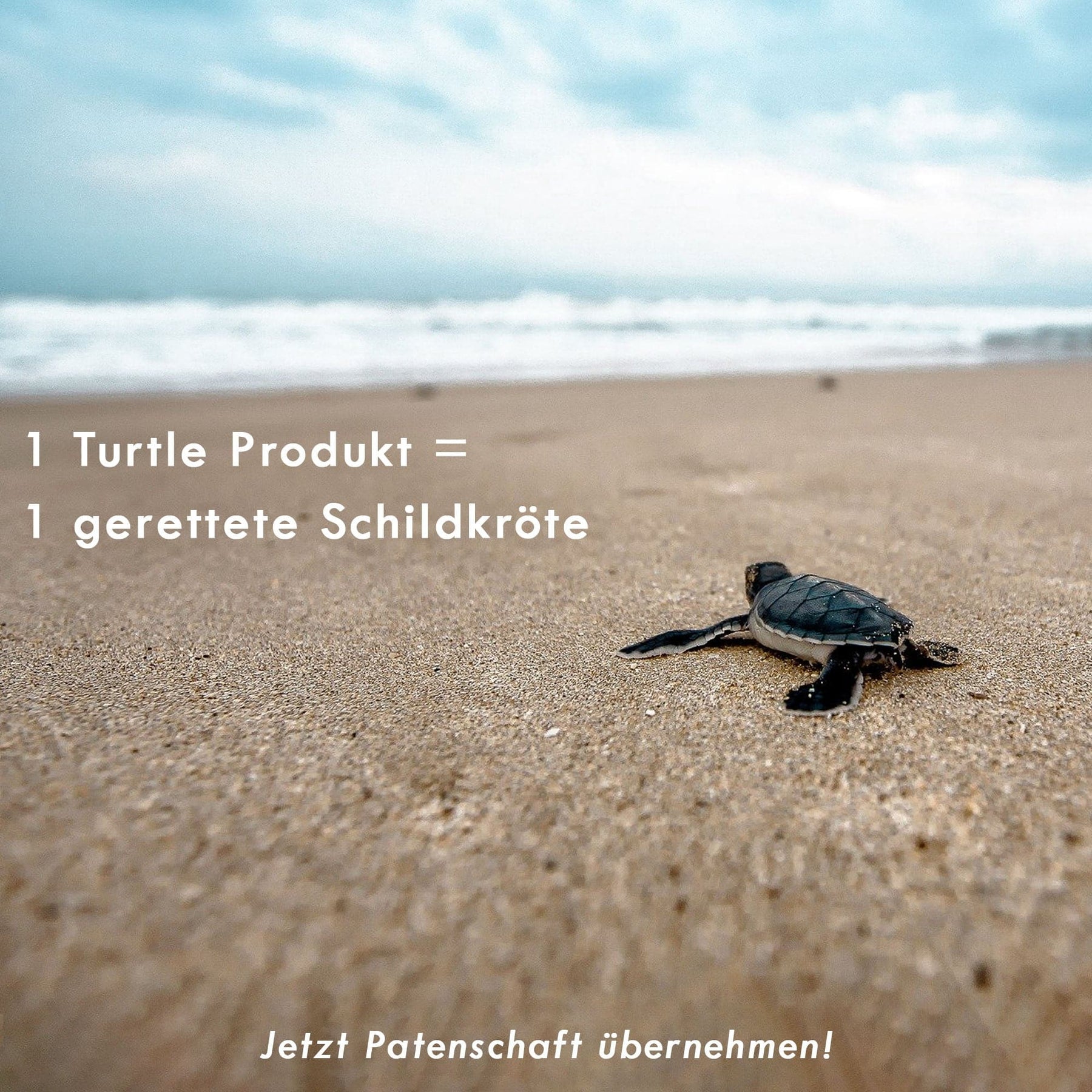 iPhone 13 pro Hülle - grün - "TURTLE" - nachhaltig