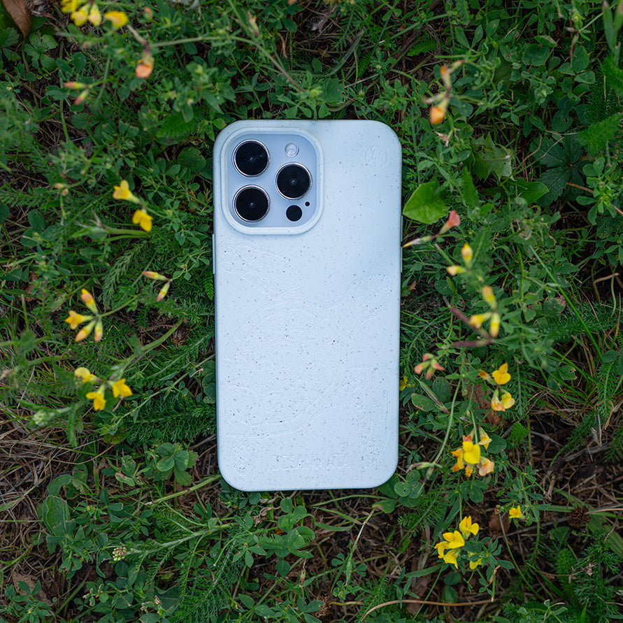 iPhone 16 Hülle - Schildkröte bunt - "Kura-Kura" - nachhaltig