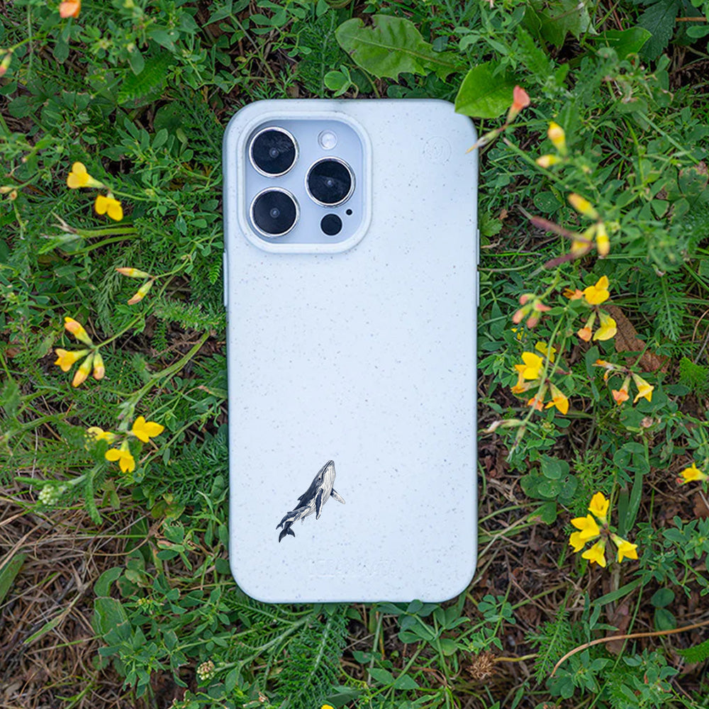 iPhone 11 pro Hülle - Buckelwal weiß - "OceanLullaby" - nachhaltig