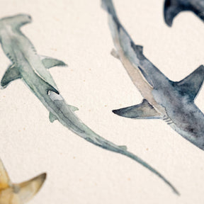 Biologisch abbaubare Handyhülle iPhone 11 Sharkproject — kompostierbar — Detailaufnahme Druck